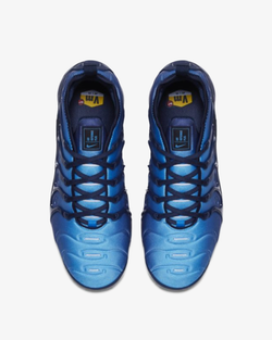Image of Мъжки Маратонки NIKE AIR VAPORMAX PLUS - Ballistic-sport