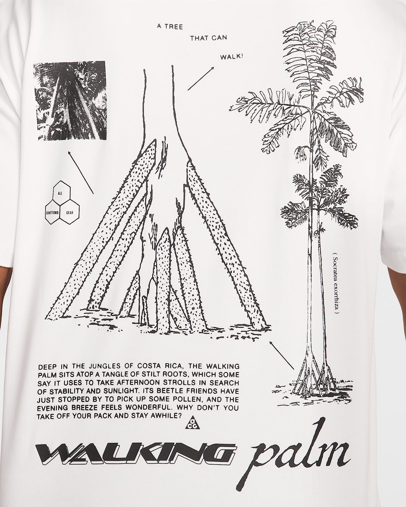 Мъжка Тениска NIKE M ACG DF TEE OC WALK TREE